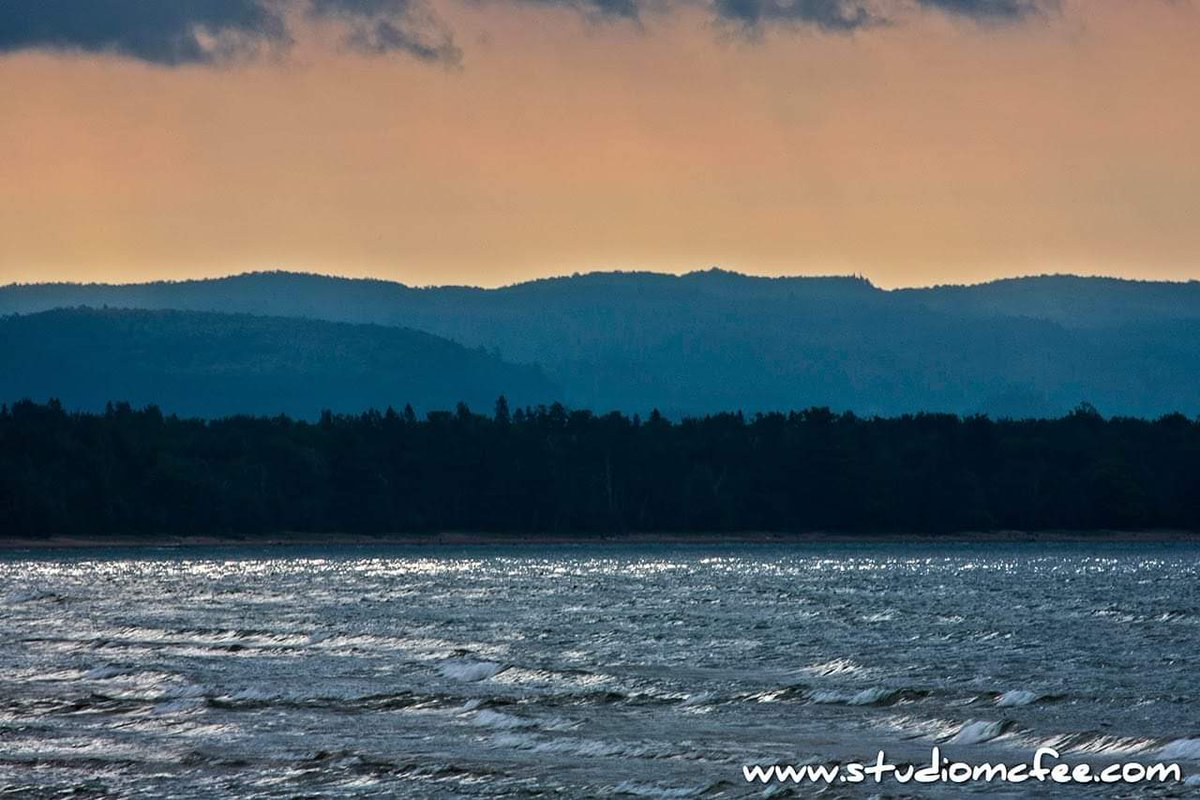 Studio McFee tweet media