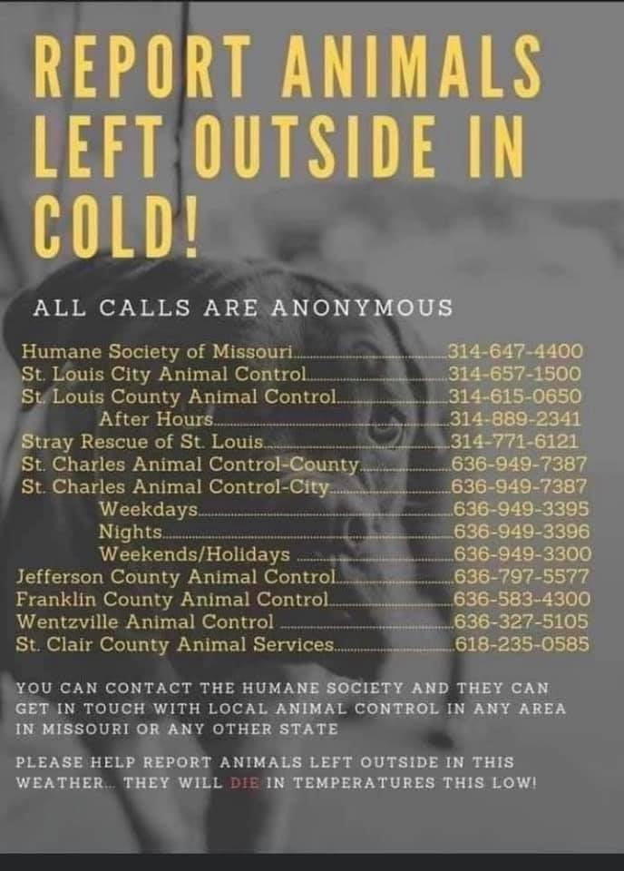 Jared Williamson (@jaredbrewsbass) on Twitter photo 