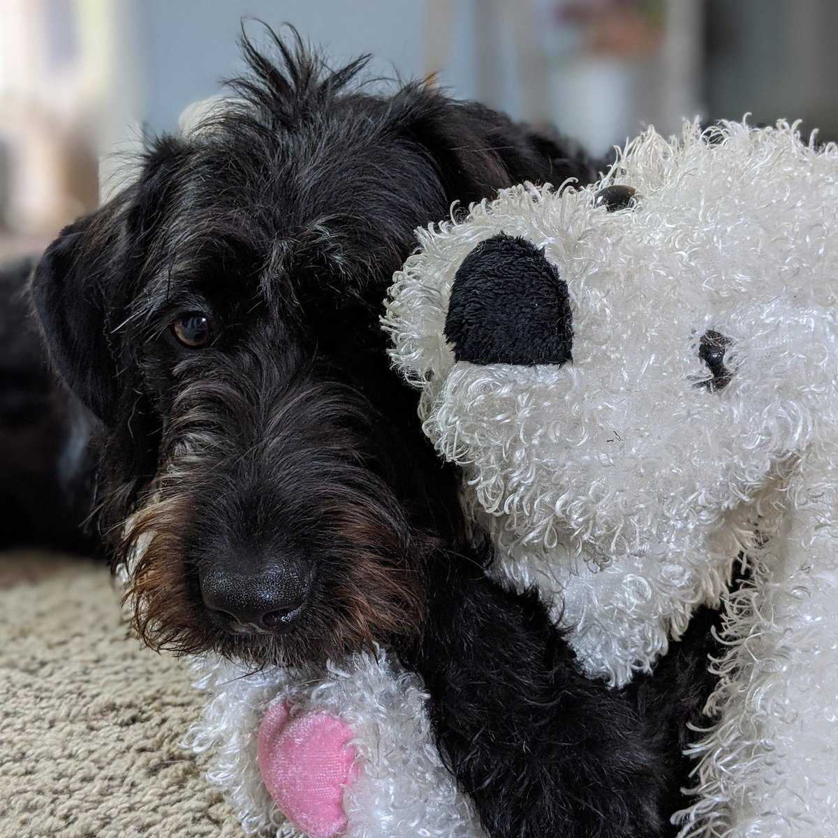 bstowers24's tweet photo. @TMobile #TMobileTuesdays #contest  This cutie wants her mom to win! https://t.co/YKTSD4RRsI