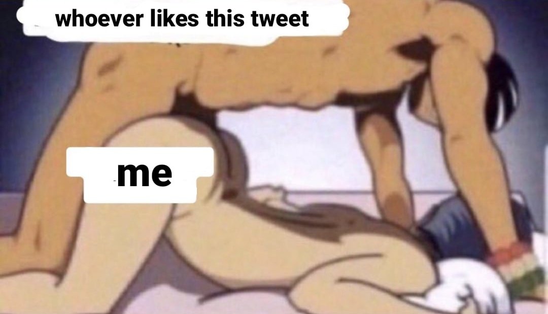 Max🦜 tweet media