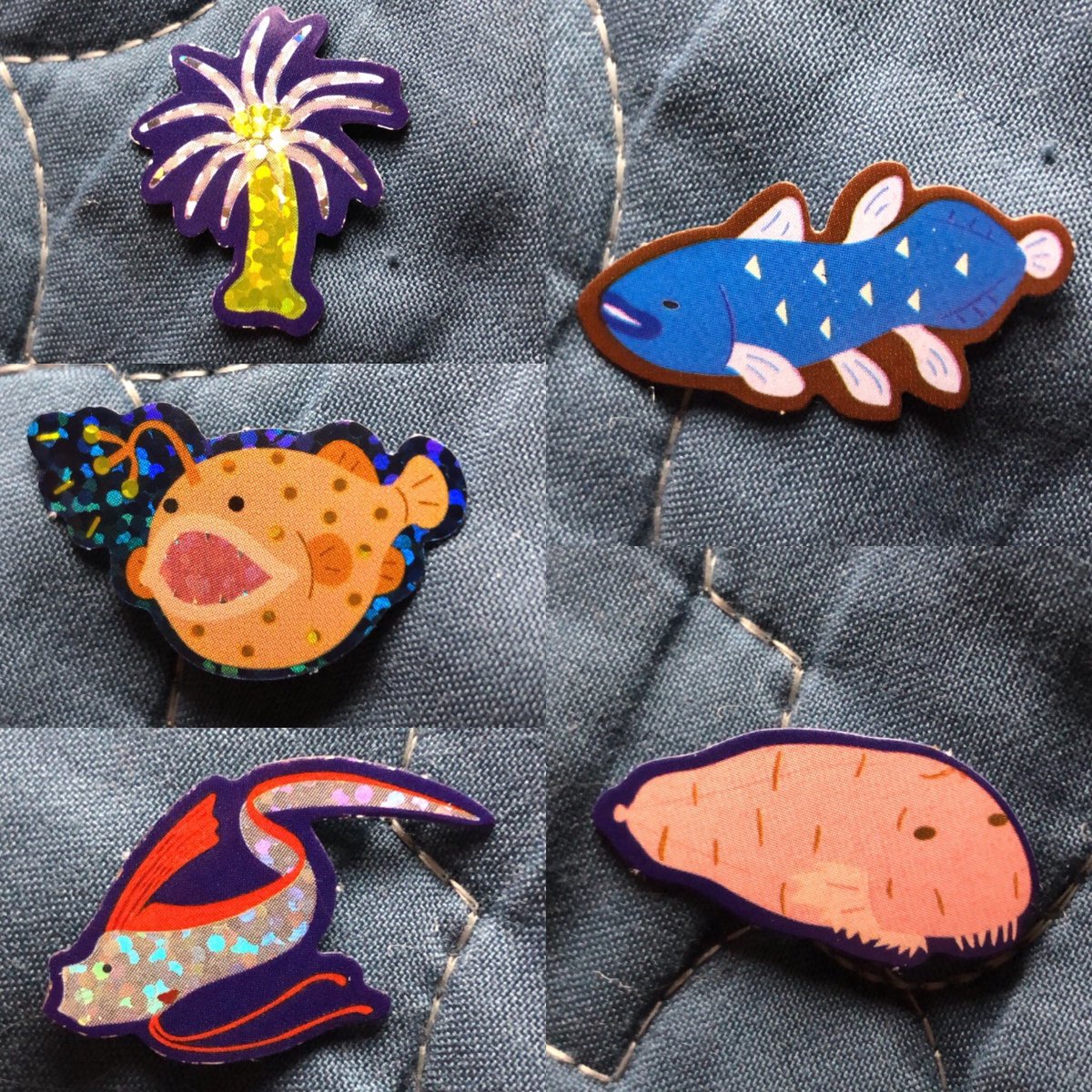 deepseabebe's tweet photo. My deep sea friends came in the mail 💌 #deepsea #deepseacreatures #deepseabebe https://t.co/4rFJfcc1oa