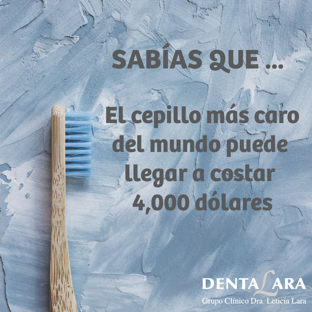dentalara's tweet photo. Lavar tus dientes tres veces al día es la base para la salud 😄
📞Contáctanos 📞 https://t.co/x6Equygo20