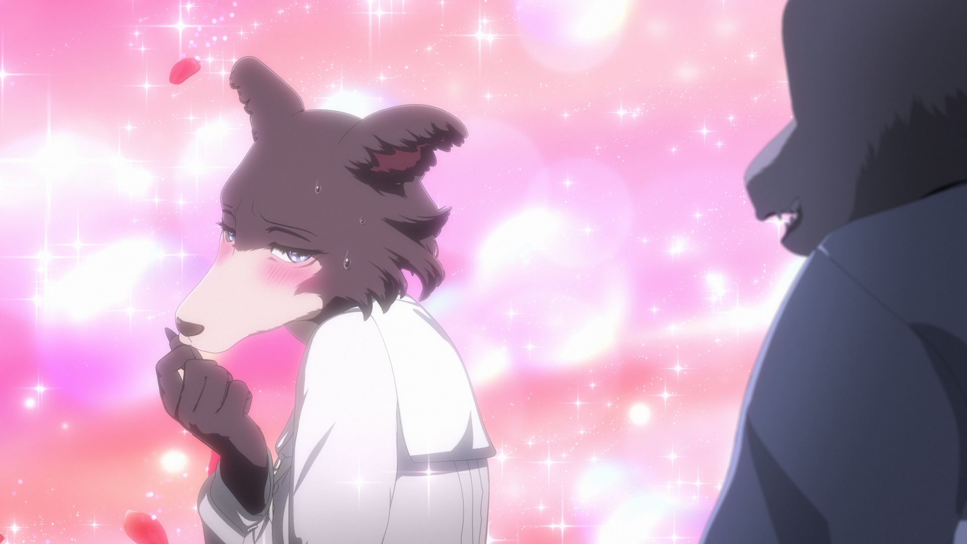 アニメ BEASTARS アニメ「BEASTARS〈ビースターズ〉」 в X: „【第1話先行カット