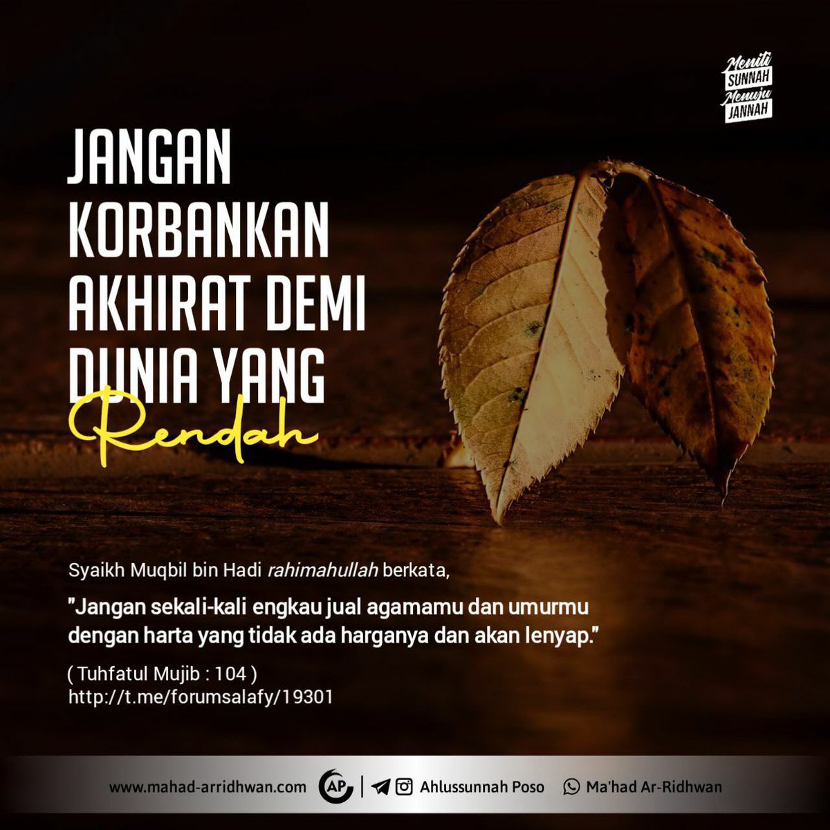 Salafiyyun Indonesia tweet media