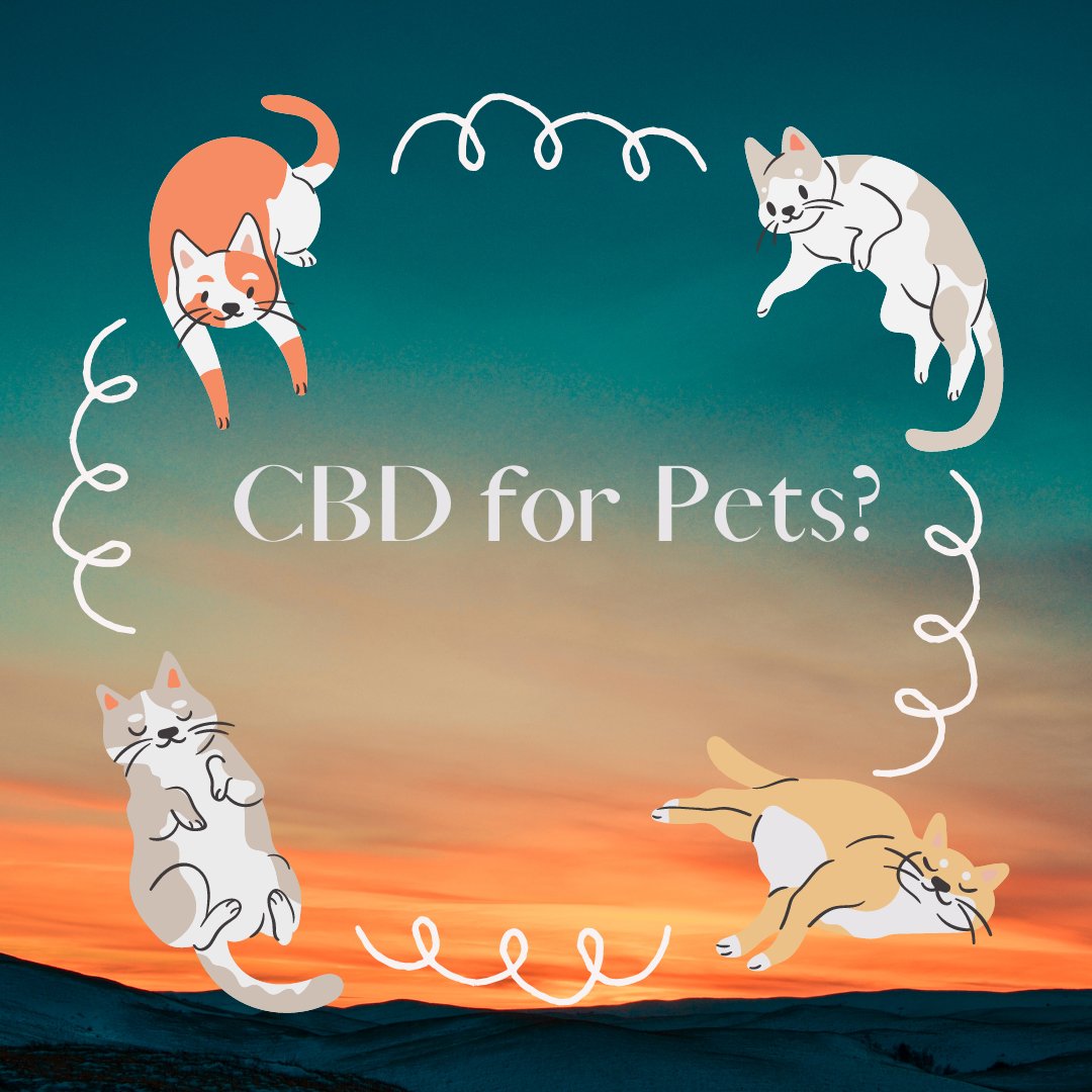 LiveNaturesKey's tweet photo. Don’t forget about the paw babies! From young to old, CBD can help with anxiety relief and pain management !

#petcbd #cbd #loveyourpets #natureskeyedibles https://t.co/0auIdG5wS9