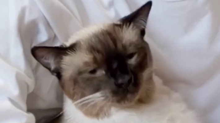 ลูอี ไม่อะไรกับใคร