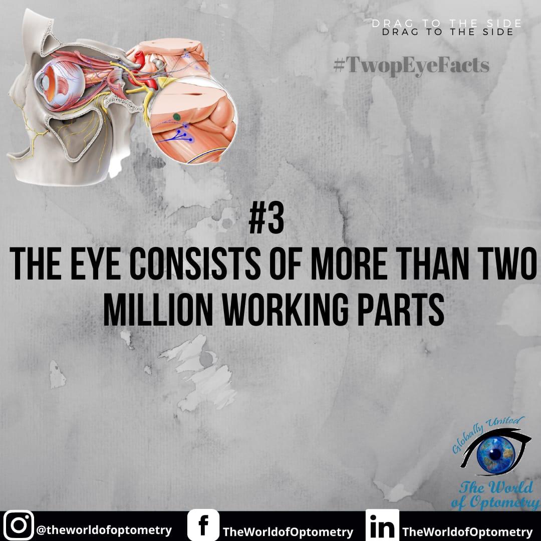 TWOPOFFICIAL's tweet photo. It's time for some Eye Facts brought to you by The World of Optometry !
The World of Optometry, Globally United.
#TWOP #TheWorldofOptometry #Optometry #Optometrists #EyeCarePractitioners #OptometryStudents #EyeDoctors #EyeCare #VisualHealth #HealthyLife #Protectyoureyes #TwopM https://t.co/dYGImVcpyv
