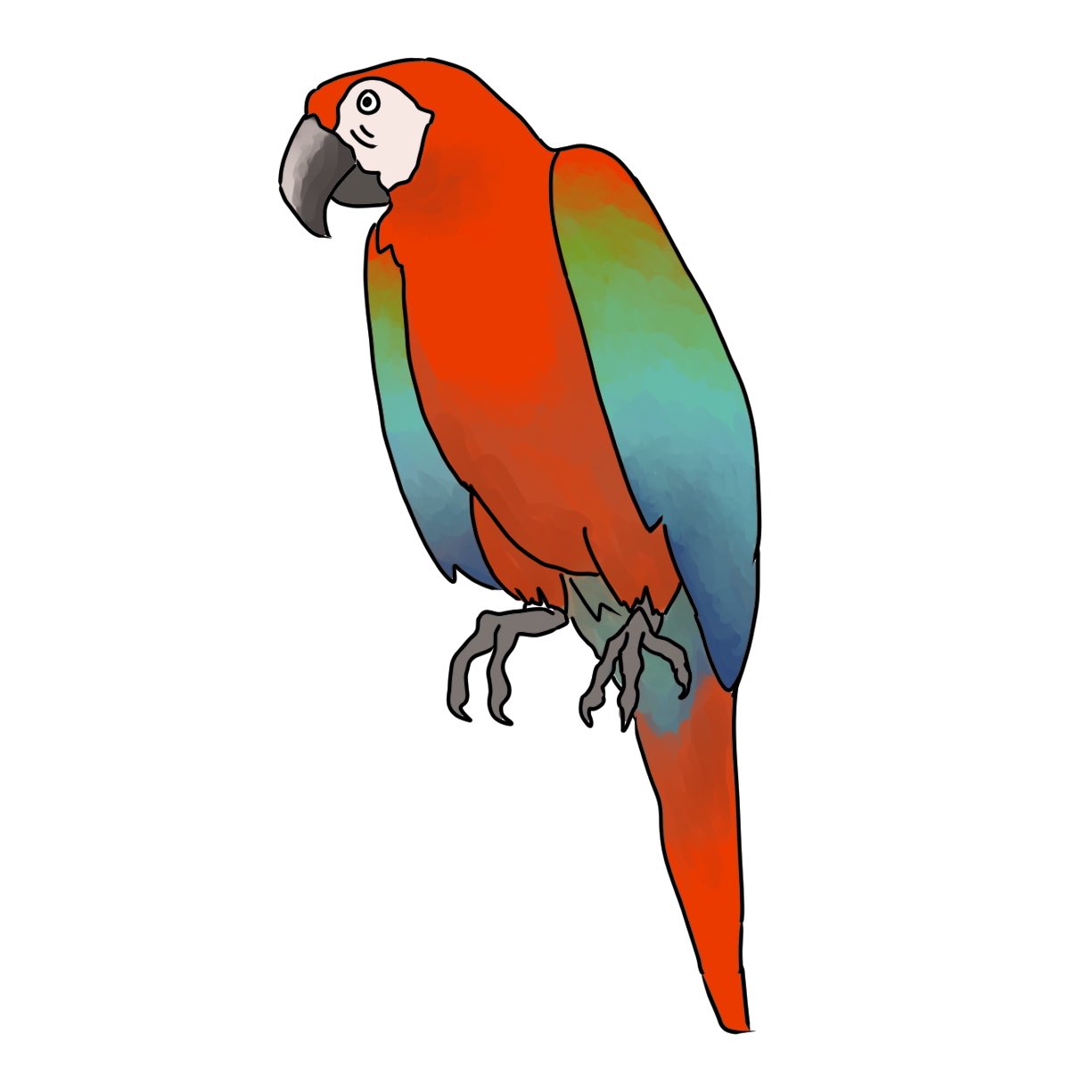 毎日イラストイタリア語 No Twitter オウム Pappagallo パッパガッロ 日本のオウム返しと同じようなもので Repetere A Pappagallo オウムのように繰り返す という言葉がありますが こちらには ある言葉の意味を分からないままにただ復唱しているだけという 毎日イラストイタリア語 No Twitter オウム Pappagallo パッパガッロ 日本のオウム返しと同じようなもので Repetere A Pappagallo オウムのように繰り返す という言葉がありますが こちらには ある言葉の意味を分からないままにただ復唱しているだけという