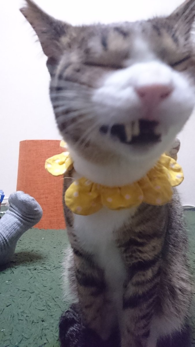 新世界のおっさん