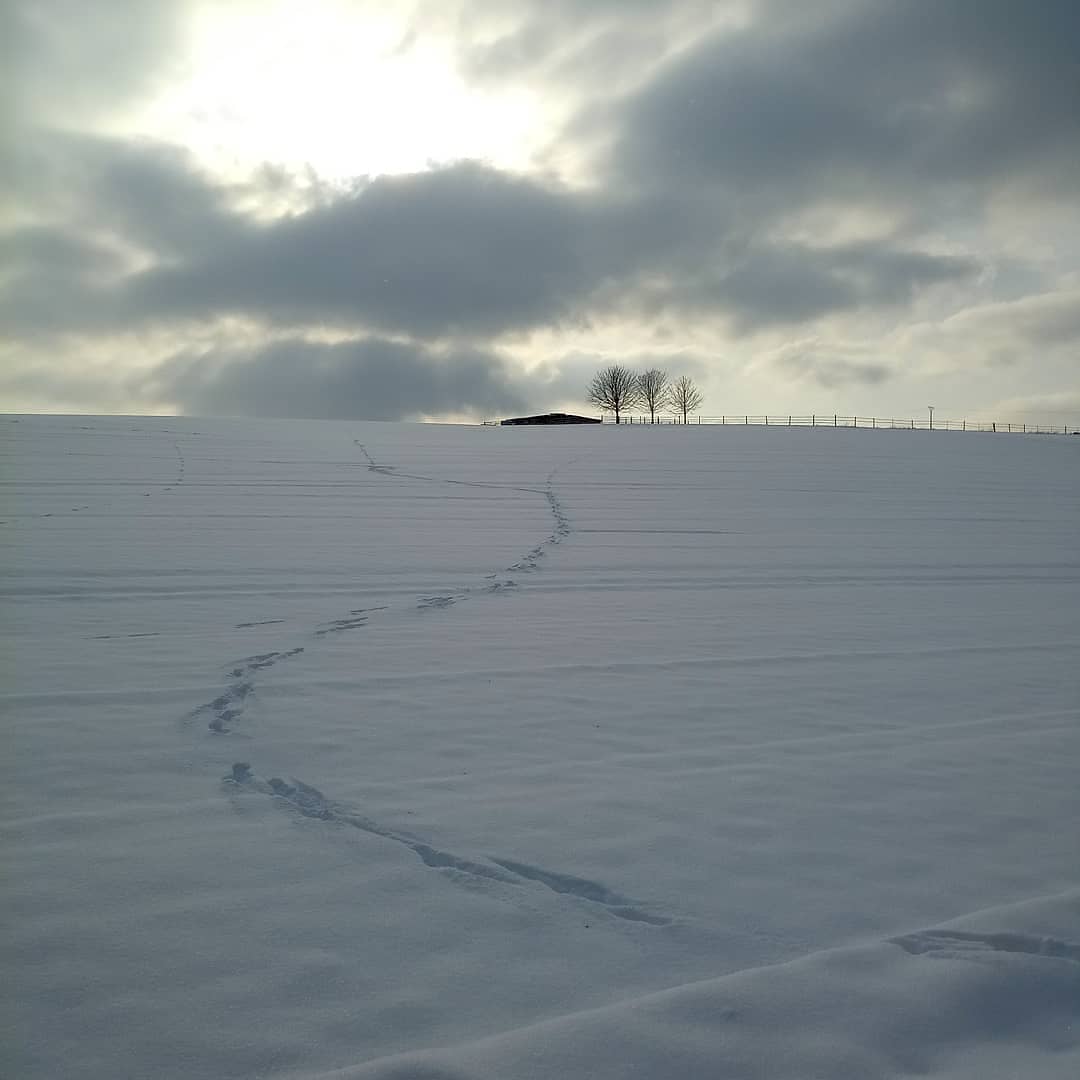 Maro74422192's tweet image. 