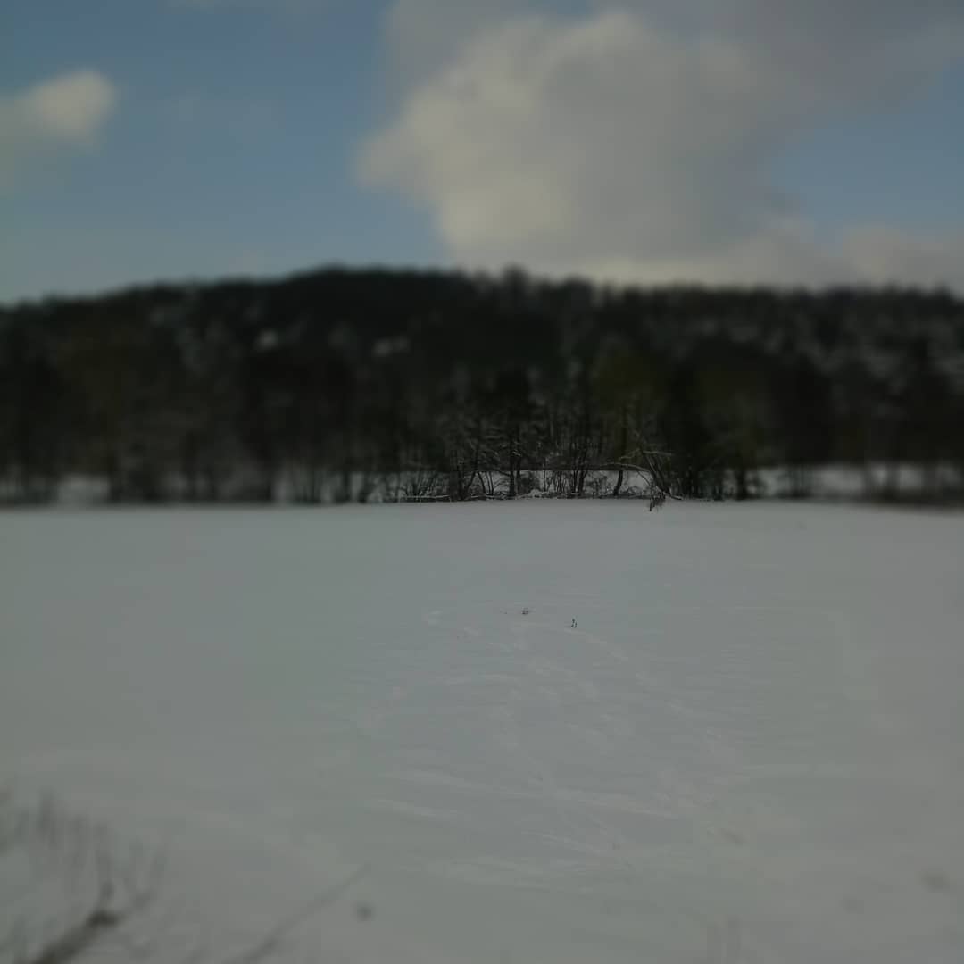 Maro74422192's tweet image. 