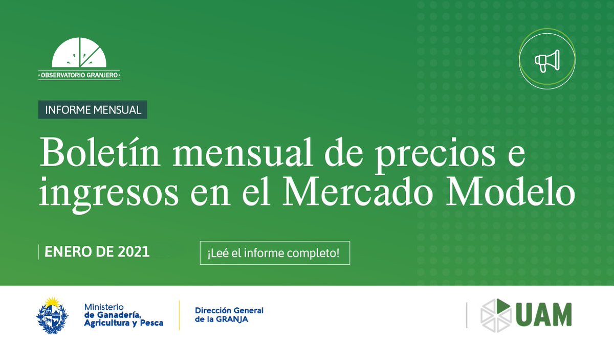 Mercado Modelo tweet media