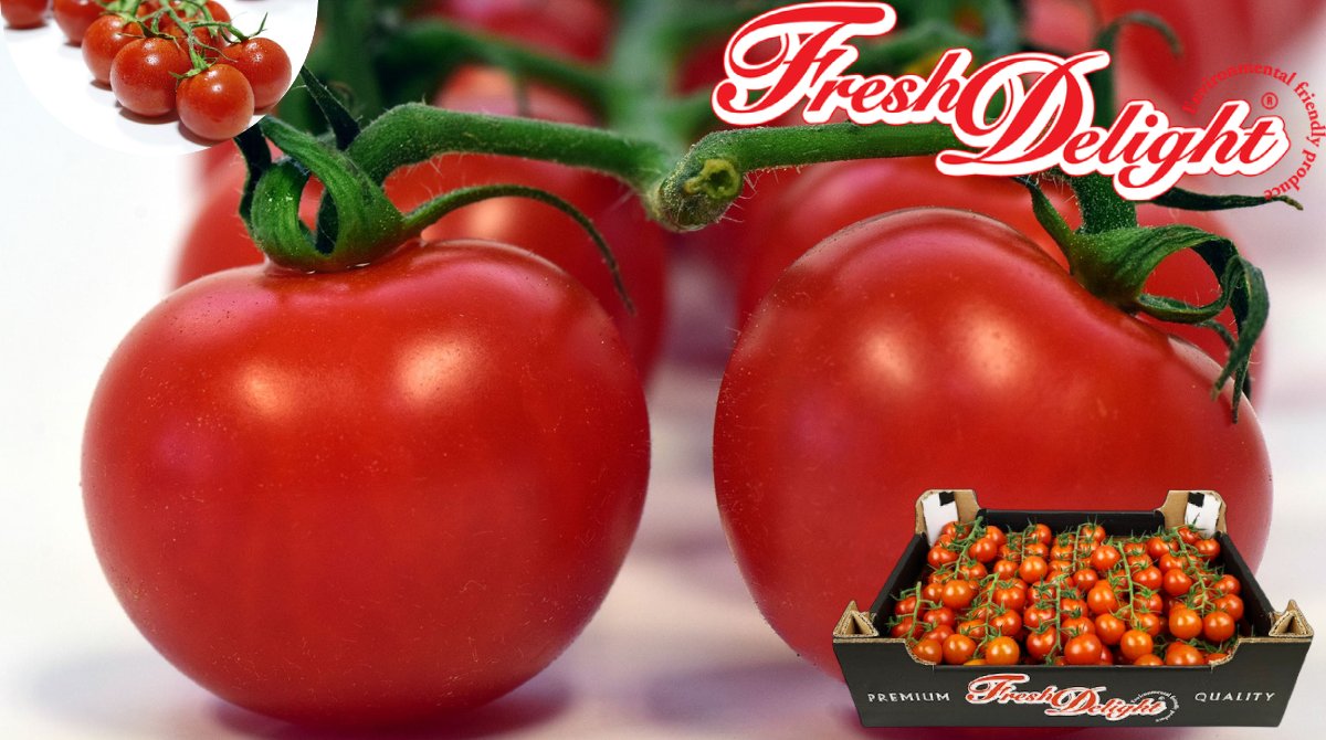 NationwidePlc's tweet photo. Our Fresh Delight produce includes cherry vine tomato
Only Class 1 produce is packed, giving our customers the confidence of incredible consistency and freshness

☎️ 01386 424800
✉️ sales@nationwideproduce.com

#freshproduce #fruit #vegetables #tomato #FreshDelight #healthyeating https://t.co/xb1kIoGXg2