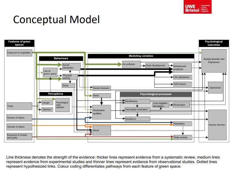 Issy & colleagues devised a conceptual model which incorporates features of green spaces, behaviours, perceptions, mediating variables and psychological outcomes  #ActiveIngredientsMH