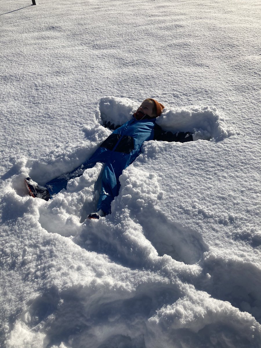 Mrs Moffat tweet media