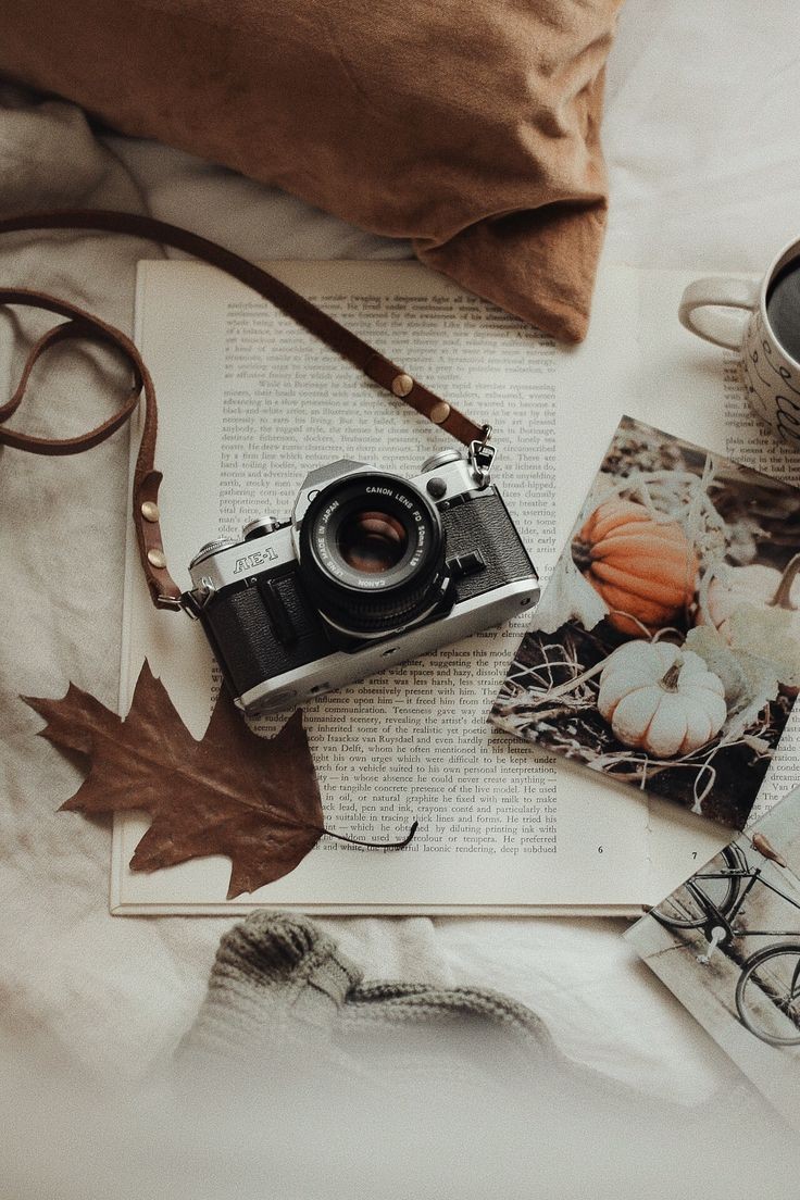 _taeyeonkims's tweet photo. 4. Camera

Ini hadiah terakhir dari aku .
Hadiah ini aku kasih karena kamu suka dan hobby banget fotografi , jadi kamu gunain buat foto² aku ya 😍 https://t.co/qNPRJcKHgv