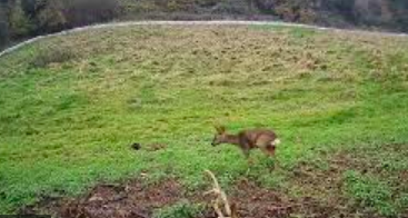 BathCA's tweet photo. Why not do the same on @FieldTufa, @bathnesld ?
Do the right thing, and protect this special ecologically-important site, rather than trying to build on it.
You need to U-turn, especially when thousands of your own residents are telling you to.
#RespectResidents https://t.co/VuFryJpmXN