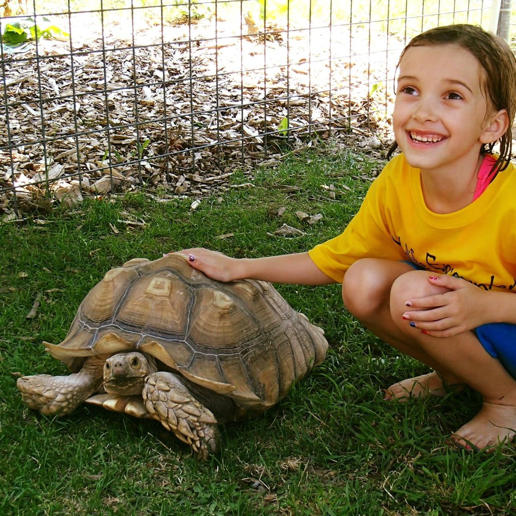 Summer Camp 2021 registration is open! Learn all about wildlife conservation, animal careers, animal training. Sign up at: wildlifeencounters.org/summer-camp
#omaha #summercamp