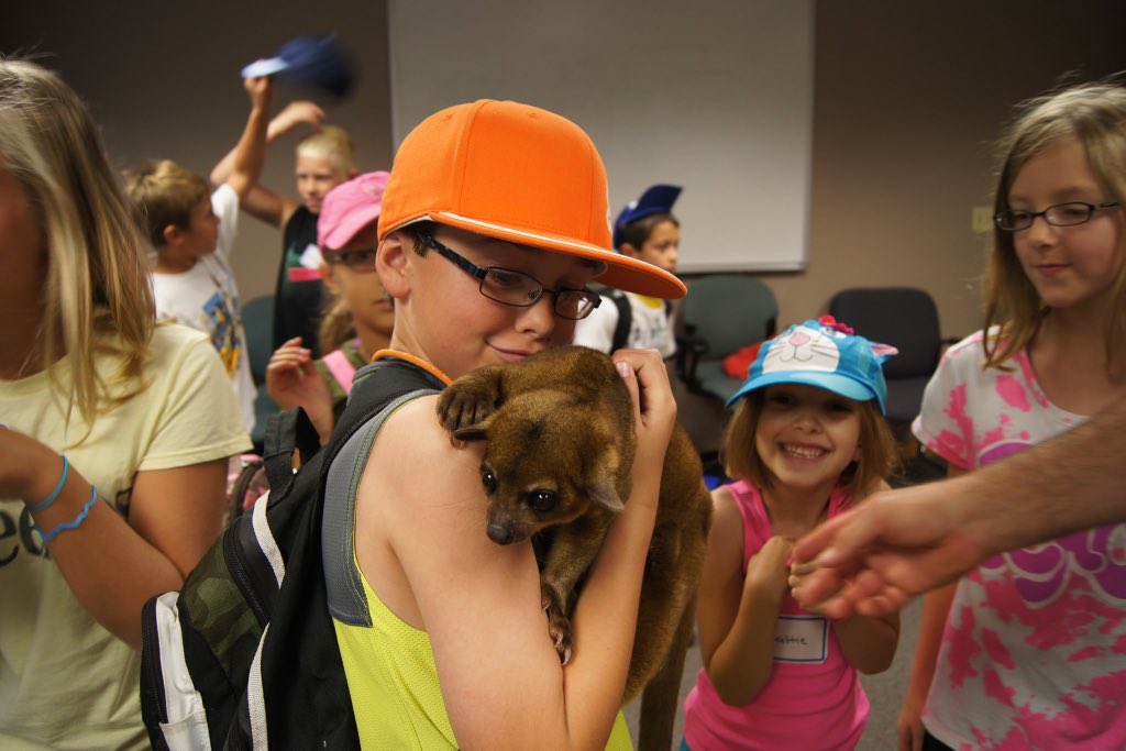 Wildlife Encounters tweet media