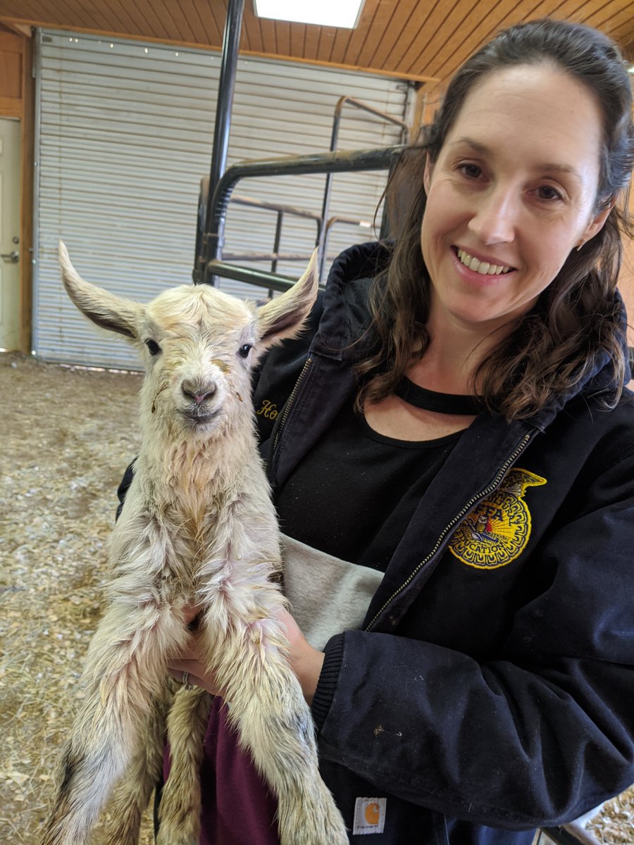 Todays CTE month teacher spotlight is on the dynamic husbdand/wife duo of Bradley and Holly Kidd, Agriculture teachers at North Moore High School. When asked why he became a CTE teacher Mr. Kidd responded: "One <a href="/adixonMCS/">Amanda K. Dixon</a> <a href="/NorthMooreCTE/">North Moore CTE</a> <a href="/NorthMooreHigh/">North Moore High</a> <a href="/NCFFA/">North Carolina FFA</a> <a href="/CTEforNC/">NC Career and Technical Education</a>