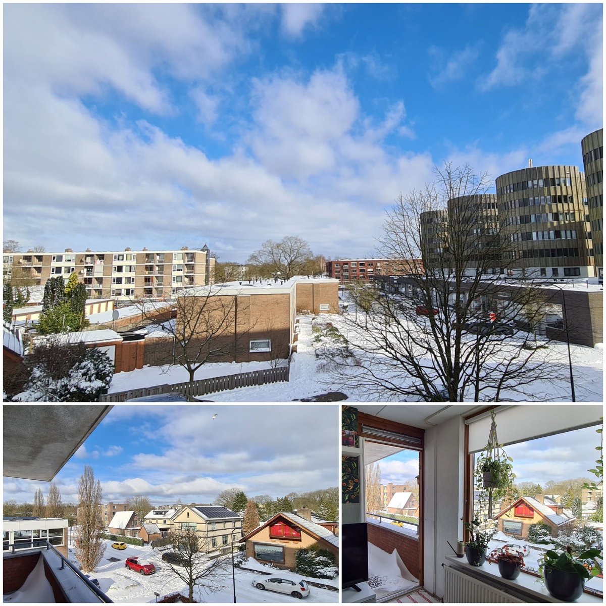 Maria_Pura's tweet image. Het is zo lekker vertoeven op mijn balkon. #WinterView