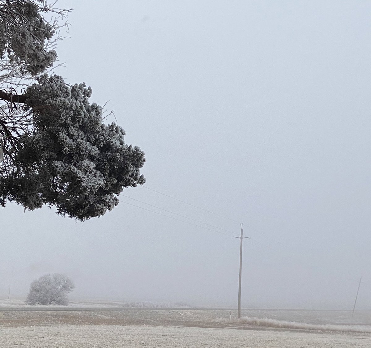 1470Kdhn's tweet photo. Frosty foggy morning- polar vortex hanging just to the north #agriplexreport #6:30-9 #listenlive #kdhnradio.com #KDHNonTuneinRadioApp https://t.co/Sb1bhXAMO5