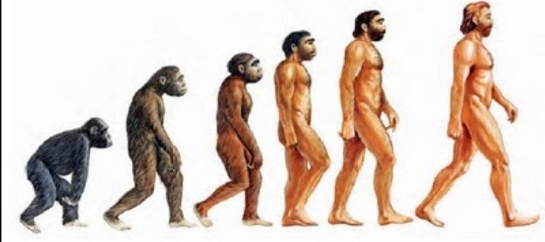 Jacobo Salas tweet media