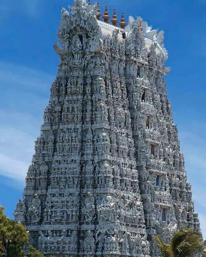 IndiaTales7's tweet photo. Believe it or not.

There are +100,000 carvings on the Gopura of this temple.

And they Say, we never built great things. https://t.co/FFWL3kMKCp