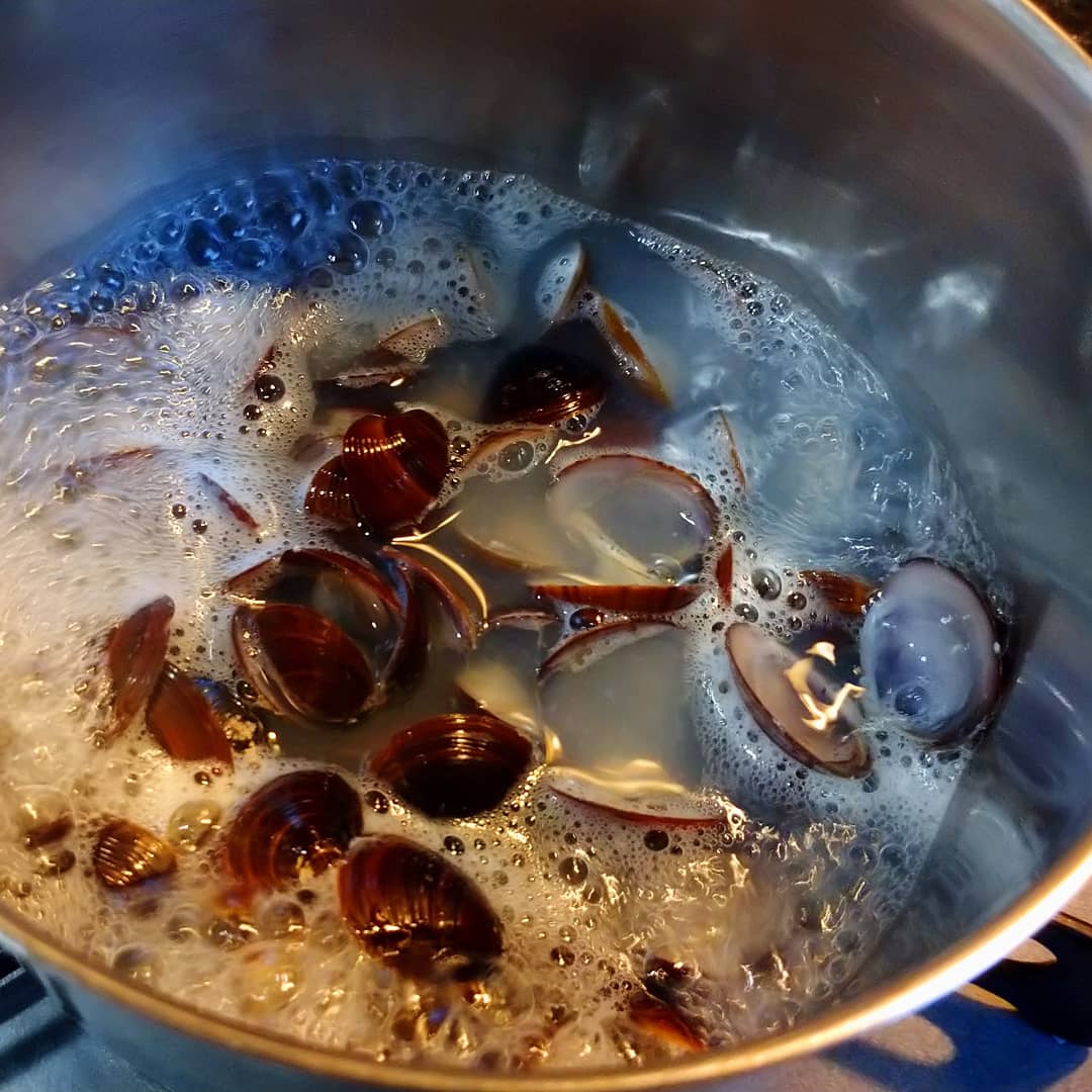 鹹蜆仔 Cuardach Twitter Twitter