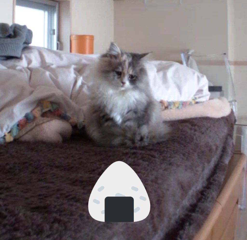 はじめてペットカメラのマイク機能を使ったら 切なすぎる結果になったのでもう使えそうにない 撫でてあげたくなる Togetter