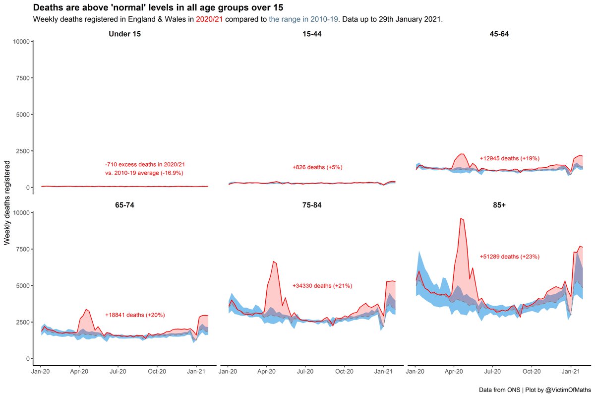 This excess can be seen across all age groups, except the very youngest, who have had fewer deaths than usual since the beginning of the pandemic.