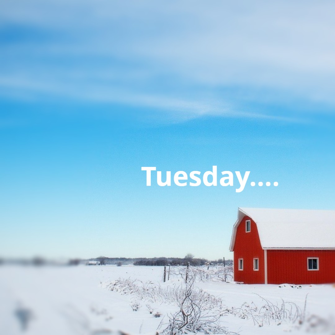 #sres #tuesday #Plant2021 #pea #crop