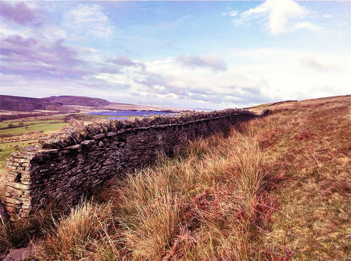 GMCommon's tweet image. Heddiw yw diwrnod lansio ein Prosiect Comin Cydweithredol! Dilynnwch yma neu ar Facebook i weld newyddion a gweithgareddau am y Comin.
#cyfoethnaturiol #tirwedd #trysor #amgylchedd #parchurcomin
gmcommon.org