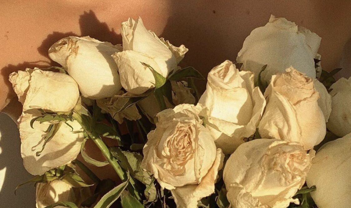 กุหลาบสีครีม (น.)
ดอกไม้ที่เอาไว้บอกว่า ‘คุณมีเสน่ห์’ หรือความห่วงใยที่มีต่อเขา , หรือเพื่อเอาไว้มอบให้คนคนนึงที่คุณมีอะไรในใจอยากบอกกับเขาก็ได้ เหมือนบอกว่า “ขอบคุณนะสำหรับความพิเศษที่คุณมอบให้กัน ฉันชอบมันมาก, ไม่สิ ฉันรักมัน” :-)