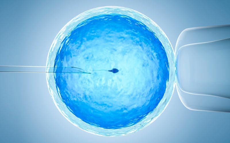 Factio_org's tweet image. 80% des FIV sont un échec. ⛔️

Aidons les couples en échec de FIV avec le @CollectifBAMP, poussez les députés à agir✅ 

✍️Signez: factio.org/campagne/118

#POURleDPIAenFIV #DPI #bioethique
#PJLBioethique @LaREM_AN @FiAssemblee @DeputesDem @Republicains_An  @socialistesAN