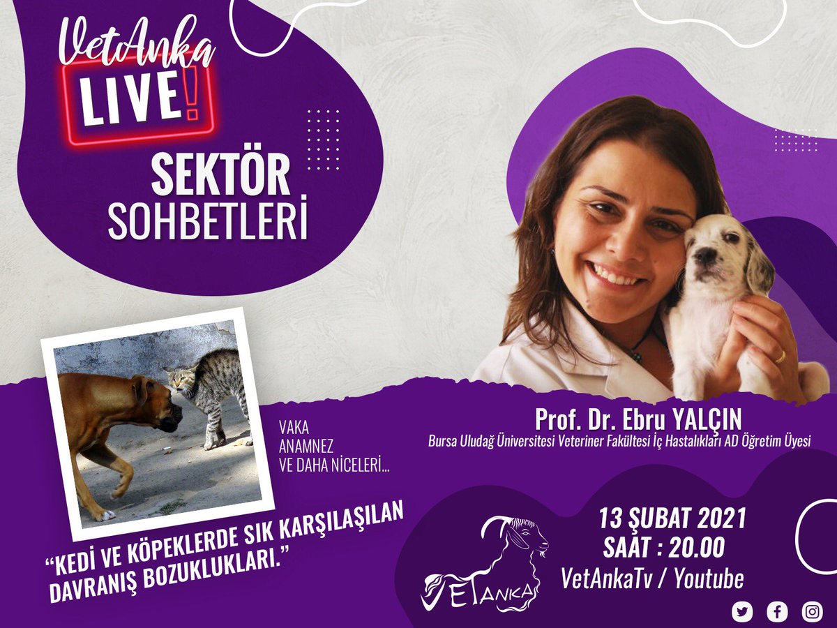 #VetAnkaLiveSektörSohbetleri ‘nin 4.sü ile karşınızdayız. 13 Şubat 2021 Cumartesi günü Prof. Dr. Ebru Yalçın bizlere “Kedi ve Köpeklerde Sık Karşılaşılan Davranış Bozuklukları” konusundan bahsedecek.Hepinizi VetAnkaTV Youtube kanalımıza bekliyoruzz 👀💫😊
#VetAnka #vetanka20