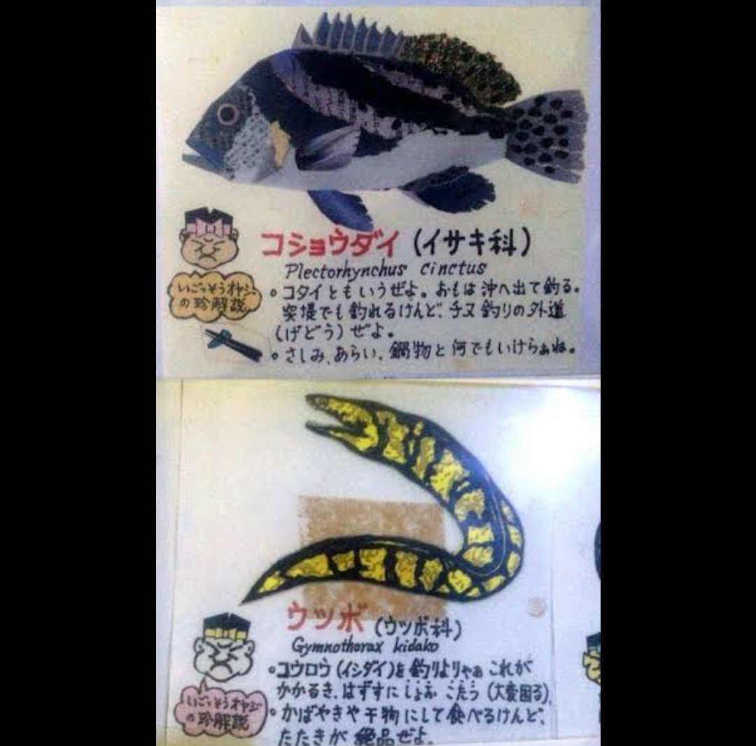 幸せ ボンビーガールで 桂浜水族館 が話題に トレンドアットtv 幸せ ボンビーガールで 桂浜水族館 が話題に トレンドアットtv