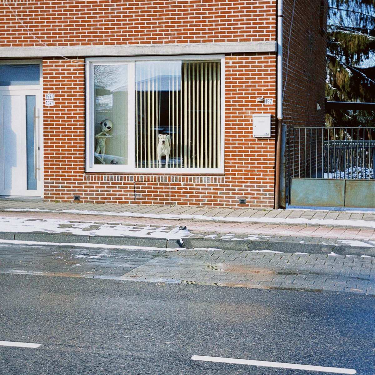 elineschmeets's tweet photo. We zijn volledig geïnstalleerd en hebben onze eerste wandeling door de buurt rond de Nieuwstraat / Neustraße gemaakt - of moet ik buurten zeggen? Daar gaan we de komende weken achter komen. We kunnen in ieder geval al met zekerheid zeggen dat ook wij geobserveerd worden 👽. https://t.co/OyUrDKjjml