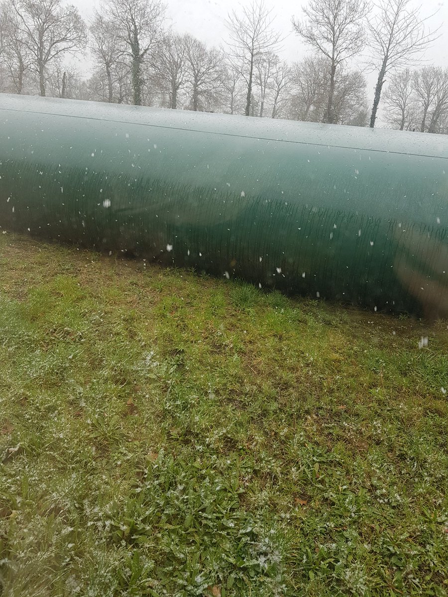 La Neige commence à tomber en #Bretagne ❄  Les #Cultures vont se vêtir d'un jolie manteau blanc d'ici quelques heures ❄😍🌾🌱