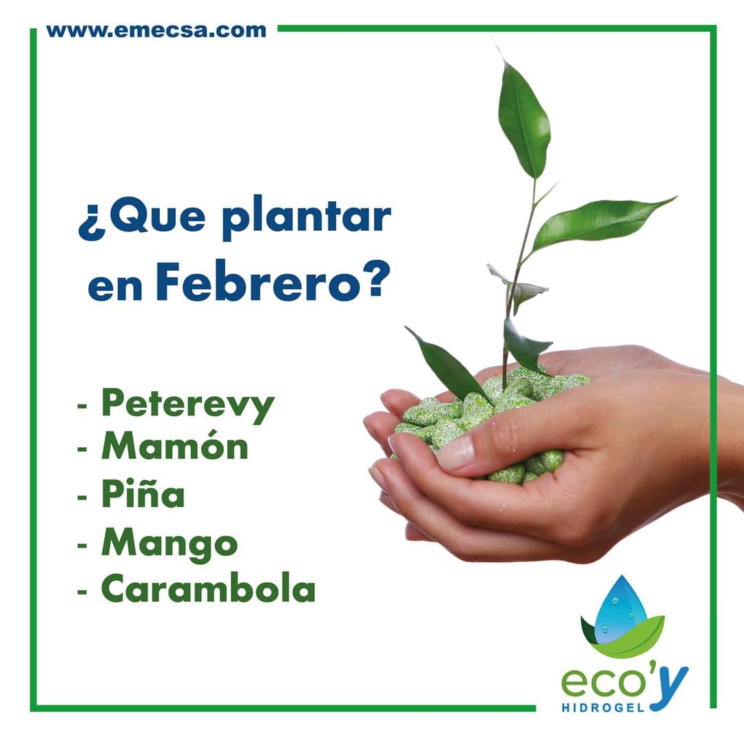 ecoypy's tweet photo. https://t.co/4F068R97Si https://t.co/O4AWIHkJPn