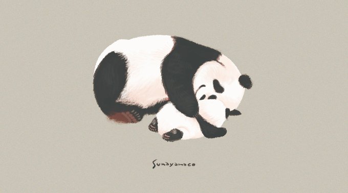 まいにちパンダのtwitterイラスト検索結果