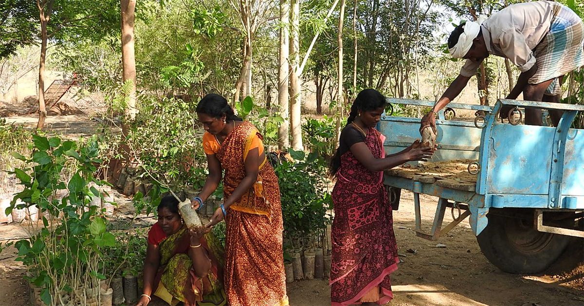 Update from our partner <a href="/TCWcharity/">The Converging World</a>: Since 2016 ecolibrium members' CO2 balancing donations have helped develop a 8.4MW wind farm in India-it has now generated 82,400MW of clean power + donations have planted 3,000 saplings with their tree-planting project buff.ly/3tJDuOO
