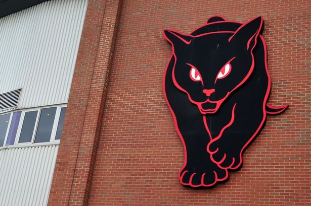 4. GATO NEGRO : O Sunderland é conocido como "The Black Cats", animal presente no famoso emblema dos Suaves.Causantes da mala suerte? 