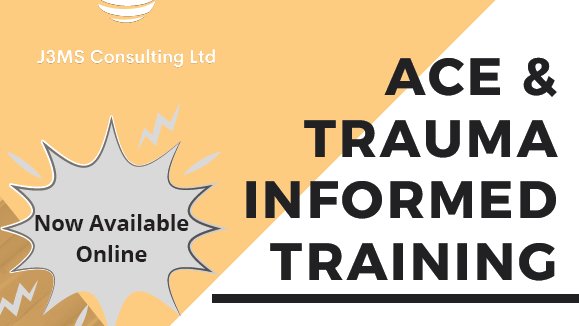 Trauma_Informed_Solutions tweet media