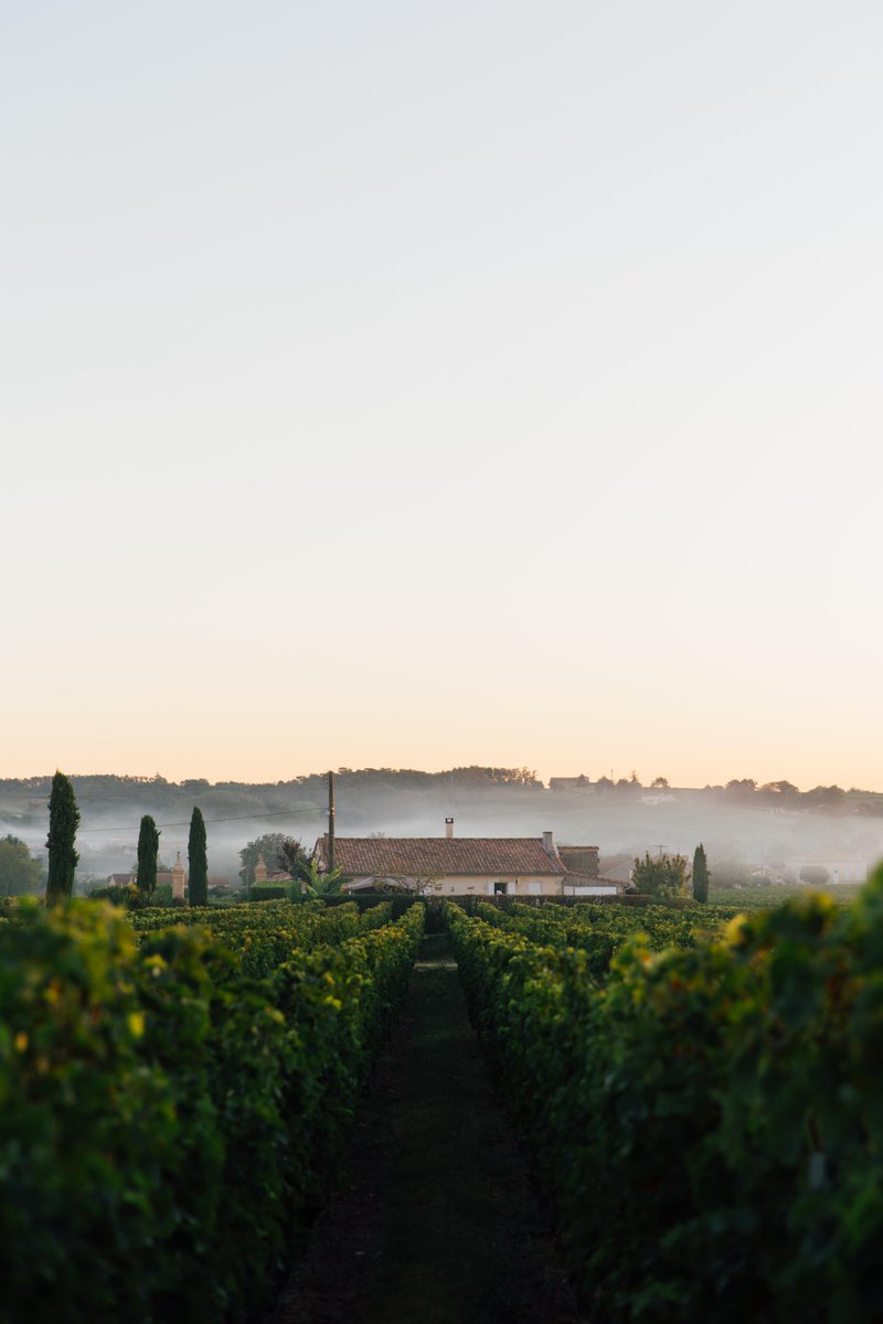 With more than 8,000 independently owned vineyards and wineries across the United States, our goal is to help wine drinkers connect with the growers and winemakers through wine tastings, tours, and other experiences! 🍇🍷🇺🇸
Find out more here! 👉  bit.ly/31znz9w
#wine