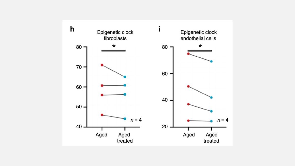 Slowing or reversing aging is one of the holy grails of science. This week's paper demonstrates that transient expression can induce a rapid, persistent amelioration, and reversal of cellular age in human cells. It's a major step toward reversing aging.
👉 fermatslibrary.com/s/transient-no…
