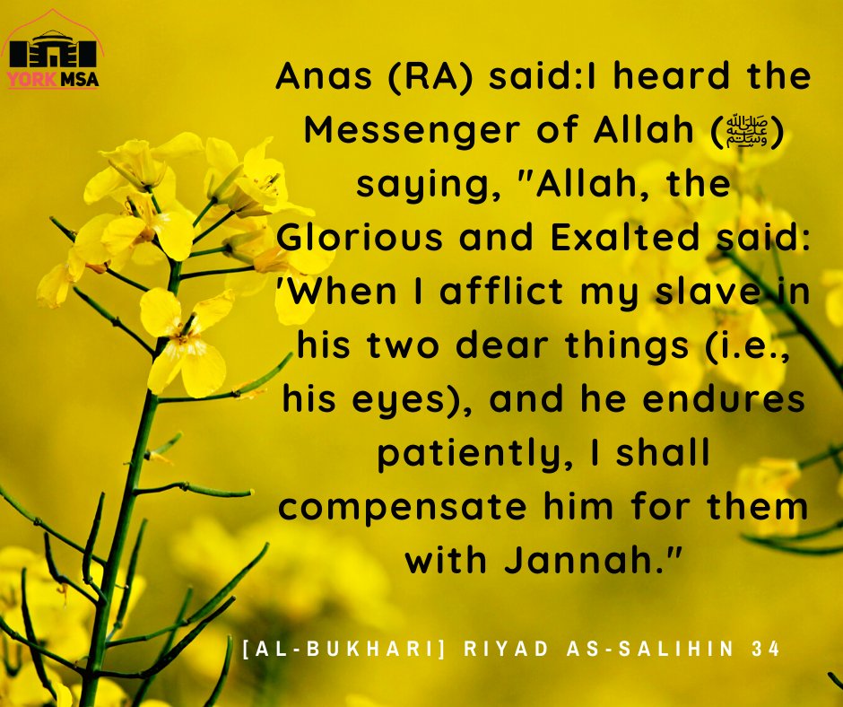 YorkuMSA's tweet photo. Asalamulaikum!!
Let this be a source of reminder to all of us facing hard
times. It is all part of Allah's plans, and we got be
patient and pray to Allah as much as we can.

Inshallah, the virus will be over soon. Ameen https://t.co/hnp1GIQHy5