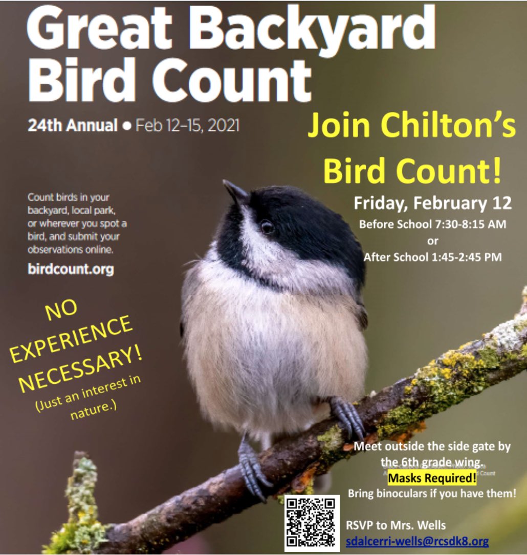 Kickoff for @rcsdchilton Birding Club. #CitizenScience #gbbc @AudubonCA @audubonsociety #RCSDChampions #WeRChilton