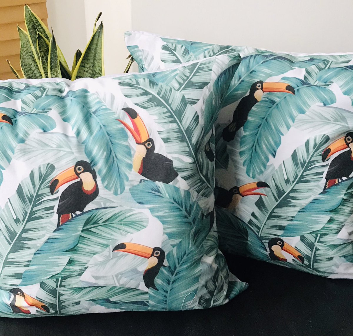 Samantha Blackburn tweet media