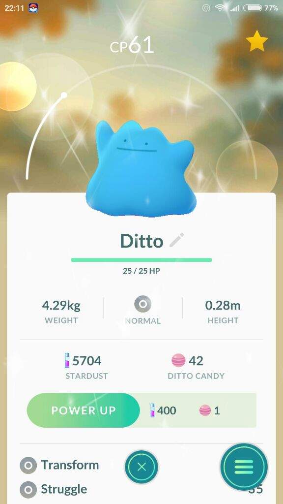 coordinates for shiny ditto｜TikTok Search